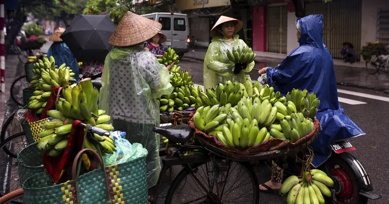 Les nouvelles tendances qui séparent le marché