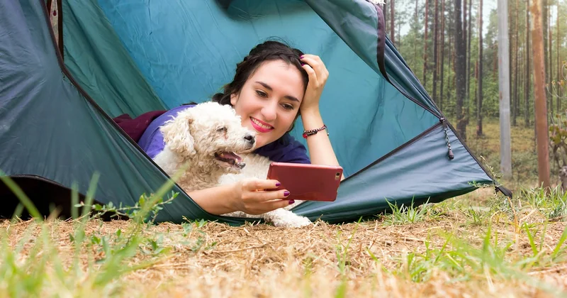 Le chien : supplément, emplacement clôturé et pièges à éviter